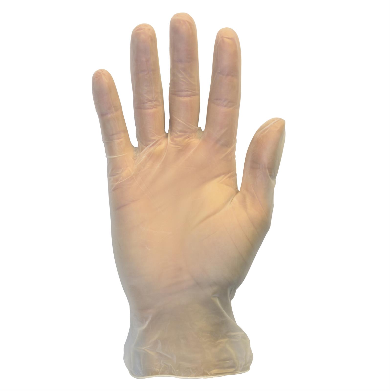 Powdered Clear Vinyl Gloves