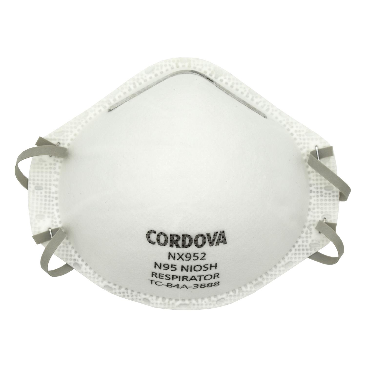 Economy N95 Disposable Respirators