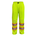 Surveyor Pants